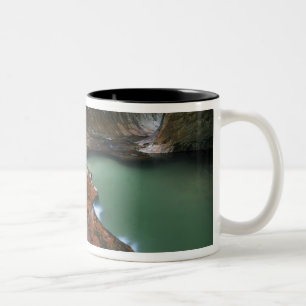 Tasse 2 Couleurs États-Unis, Utah, Zion National Park. Pittoresque 