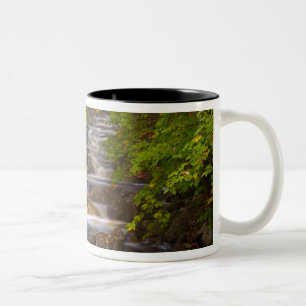 Tasse 2 Couleurs États-Unis, Vermont, East Arlington, Ruisseaux