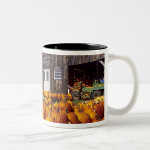 Tasse 2 Couleurs États-Unis, Vermont, Shelbourne, Citrouilles