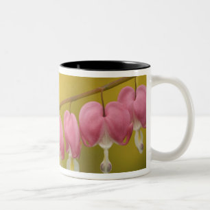 Tasse 2 Couleurs États-Unis, Virginie, Arlington, gros plan sur ros