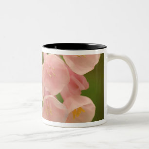 Tasse 2 Couleurs États-Unis, Virginie, Manassas, Manassas National