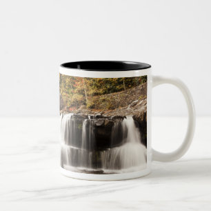 Tasse 2 Couleurs États-Unis, Virginie-Occidentale, Clifftop. Babcoc