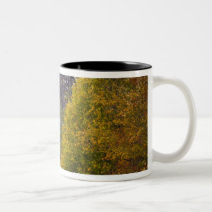 Tasse 2 Couleurs États-Unis, Virginie-Occidentale, Fayetteville. Ne