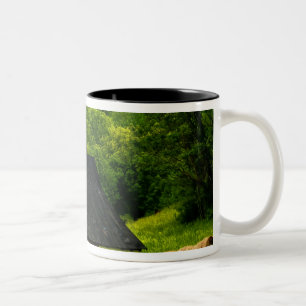 Tasse 2 Couleurs États-Unis, Virginie, Parc national de Shenandoah,