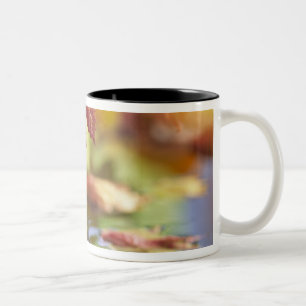 Tasse 2 Couleurs États-Unis, Washington, Bellingham, Gros plan sur