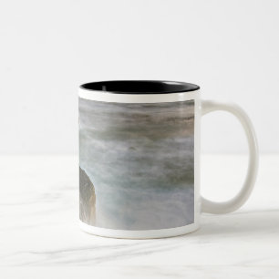 Tasse 2 Couleurs États-Unis, Washington, îles San Juan.  Vagues s'é