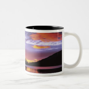 Tasse 2 Couleurs États-Unis, Washington, Parc national du mont Rain