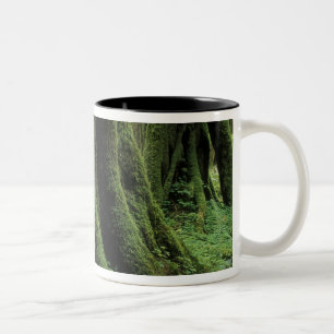 Tasse 2 Couleurs États-Unis, Washington, Parc national Olympique, 2