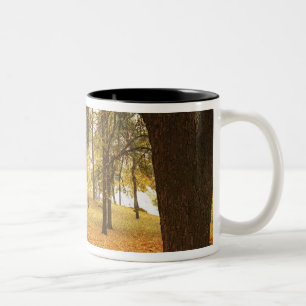 Tasse 2 Couleurs États-Unis, Washington, Spokane, Manito Park, Auto