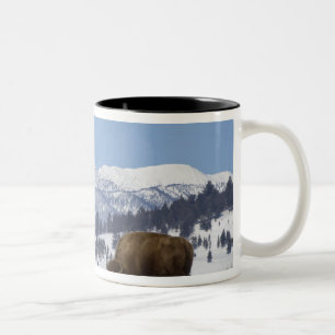 Tasse 2 Couleurs États-Unis, WY, Parc national de Yellowstone, Biso