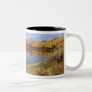 Tasse 2 Couleurs États-Unis, Wyoming, Grand Teton National Park. Mt