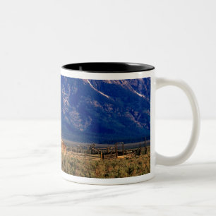 Tasse 2 Couleurs États-Unis, Wyoming, Parc national de Grand Teton,