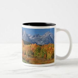 Tasse 2 Couleurs États-Unis, Wyoming, Parc national de Grand Teton 