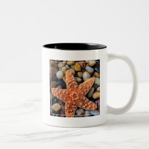 Tasse 2 Couleurs Étoiles de mer sur des roches