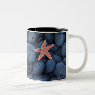 Tasse 2 Couleurs Étoiles de mer sur les roches noires le long de l