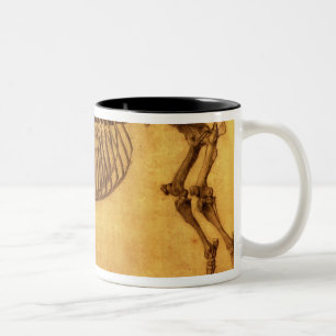 Tasse 2 Couleurs Étude finie par   de George Stubbs pour le premie