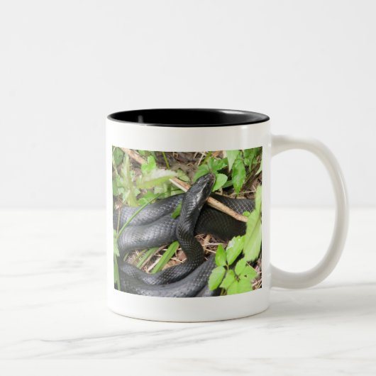 Tasse 2 Couleurs Exposer au soleil de serpent de coureur noir (Droit)