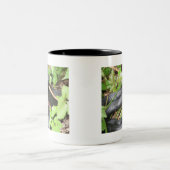 Tasse 2 Couleurs Exposer au soleil de serpent de coureur noir (Centre)