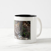 Tasse 2 Couleurs face de lion (Devant droit)