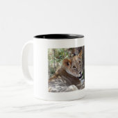 Tasse 2 Couleurs face de lion (Devant gauche)
