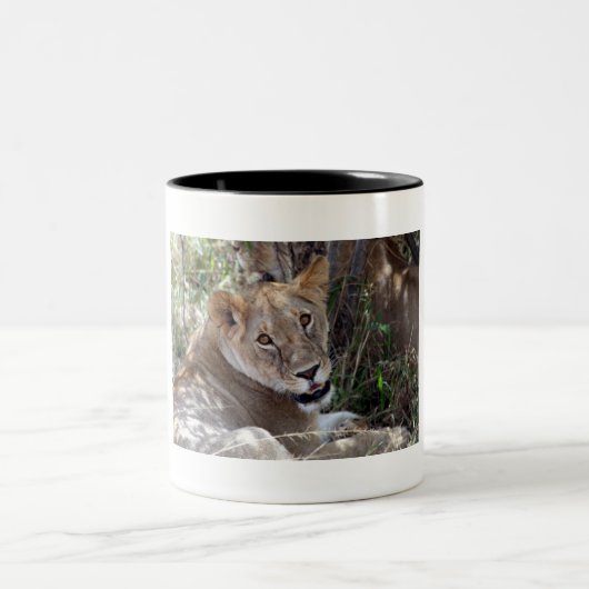 Tasse 2 Couleurs face de lion (Centre)