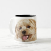 Tasse 2 Couleurs Familiaris de Canis (Devant gauche)