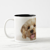 Tasse 2 Couleurs Familiaris de Canis (Gauche)