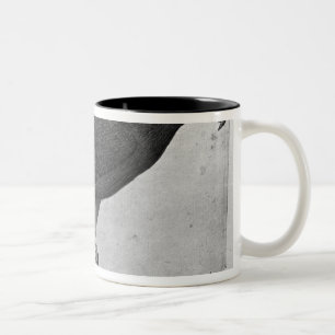 Tasse 2 Couleurs Faucon, le de l'album de Vallardi