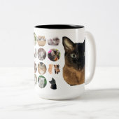 Tasse 2 Couleurs Feline inspiré (Devant droit)