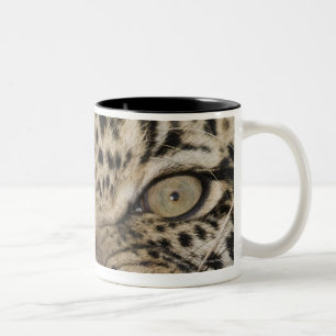 Tasse 2 Couleurs Fermez-vous du léopard grognant