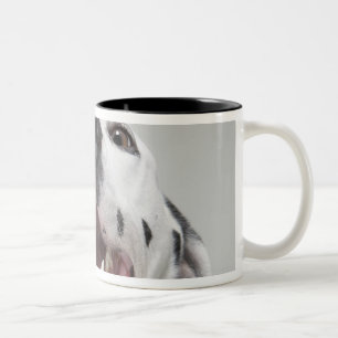 Tasse 2 Couleurs Fermez-vous d'un chien dalmatien