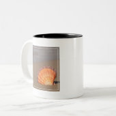 Tasse 2 Couleurs Feston Shell| Crète, Grèce (Devant gauche)
