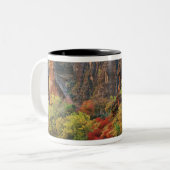 Tasse 2 Couleurs Feuillage d'automne le long de la rivière Virgin p (Devant gauche)