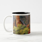 Tasse 2 Couleurs Feuillage d'automne le long de la rivière Virgin p (Gauche)