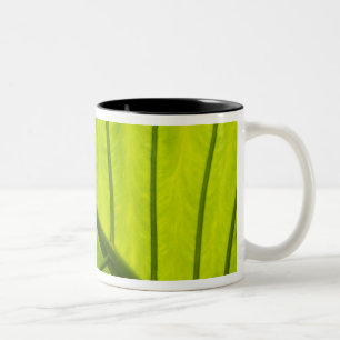 Tasse 2 Couleurs Feuilles vertes veinées de feuillage tropical en 2