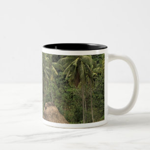 Tasse 2 Couleurs Fidji, Viti Levu, Navala, maisons traditionnelles 