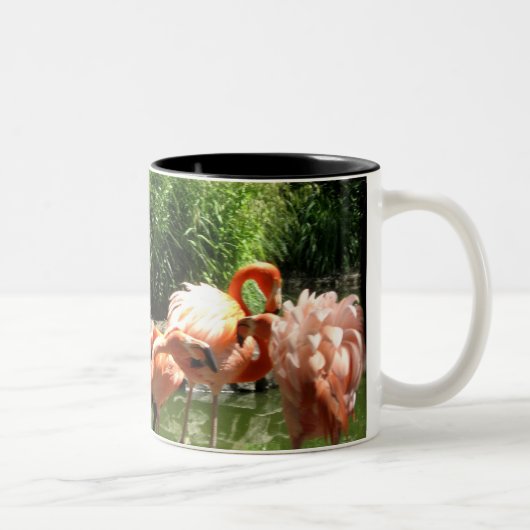 Tasse 2 Couleurs flamants roses (Droit)