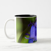 Tasse 2 Couleurs Fleur Bluebell (Gauche)