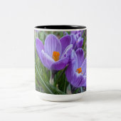 Tasse 2 Couleurs Fleur de Crocus Pourpre (Centre)