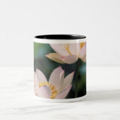 Tasse 2 Couleurs Fleur de Lotus en fleurs, Chine (Centre)