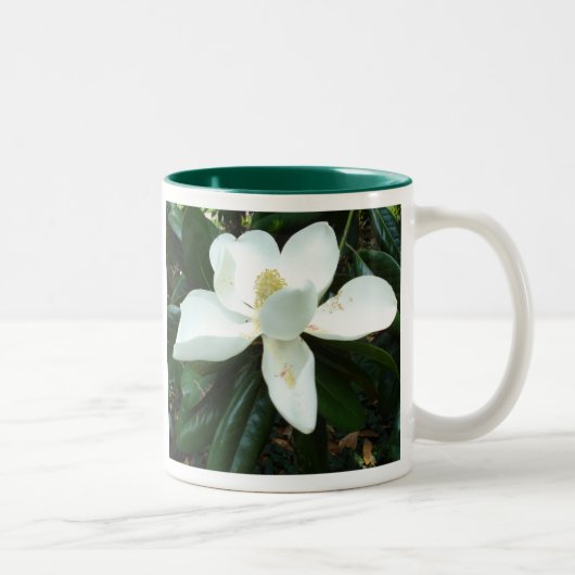 Tasse 2 Couleurs Fleur de magnolia (Droit)