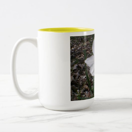 Tasse 2 Couleurs Fleur du printemps de Pâques (Gauche)