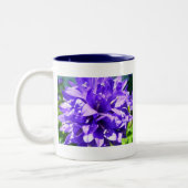 Tasse 2 Couleurs Fleur en grappe (Campanula glomerata Superba) (Gauche)