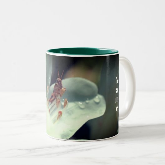 Tasse 2 Couleurs Fleur Et Grasshopper Azalea Personnalisé (Devant droit)