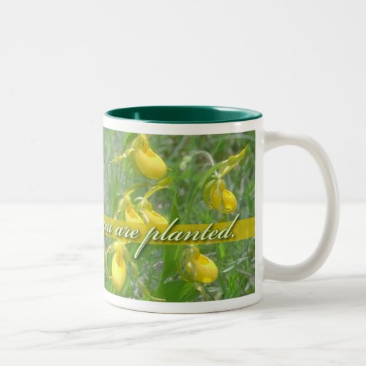 Tasse 2 Couleurs Fleur où vous êtes plantés, Ladyslipper jaune (Droit)