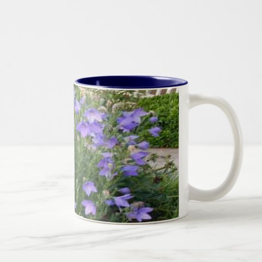 Tasse 2 Couleurs Fleurs de ballon (Droit)