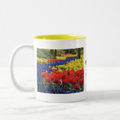 Tasse 2 Couleurs Fleurs de Hollande, Keukenhof (Gauche)