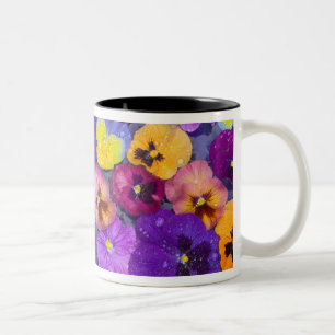 Tasse 2 Couleurs Fleurs de pensée flottant dans un bain d'oiseaux a