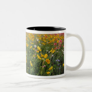 Tasse 2 Couleurs Fleurs sauvages au bord de la route au Texas, prin