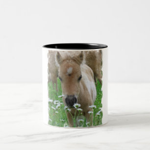 Tasse 2 Couleurs Fleurs sentantes de poulain de cheval sur une